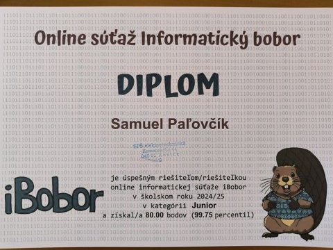 ibobor24_02